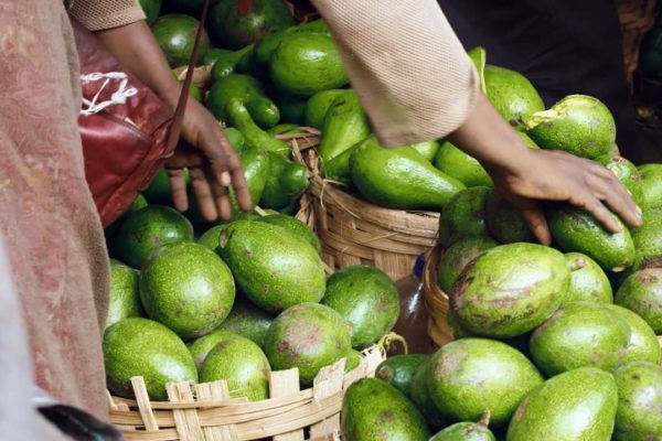 Bons baisers de Yaoundé